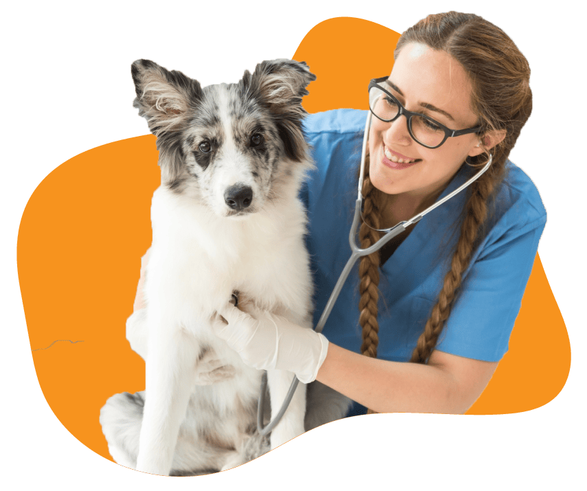 Veterinaria Medellín